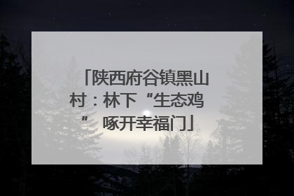 陕西府谷镇黑山村：林下“生态鸡” 啄开幸福门